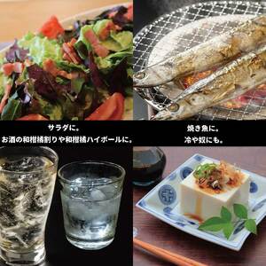 井出農園 露地すだち いでプリンス 家庭用 2kg