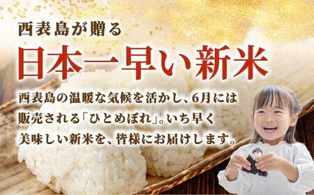 新米ひとめぼれ(白米)10kg