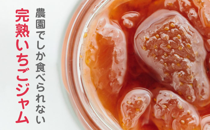 【限定数量】【全12回定期便】熊本県産 いちごジャム ( 150g × 5個 ) 小分け 熊本 山都町 常温【なかはた農園】[YBI041] 140000 140,000 140000円 140,00
