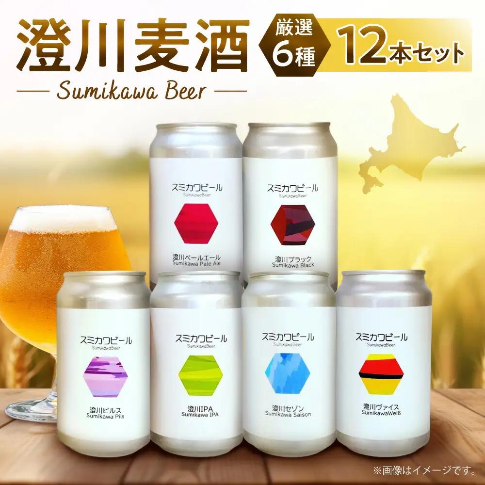 澄川麦酒厳選12本セット｜地ビール クラフトビール ビール 晩酌 北海道 札幌市
