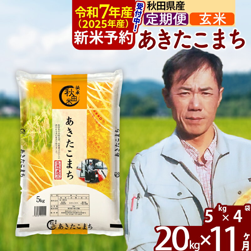 【ふるさと納税】※令和7年産 新米予約※《定期便11ヶ月》秋田県産 あきたこまち 20kg【玄米】(5kg) 2025年産 お届け周期調整可能 隔月に調整OK お米 みそらファーム