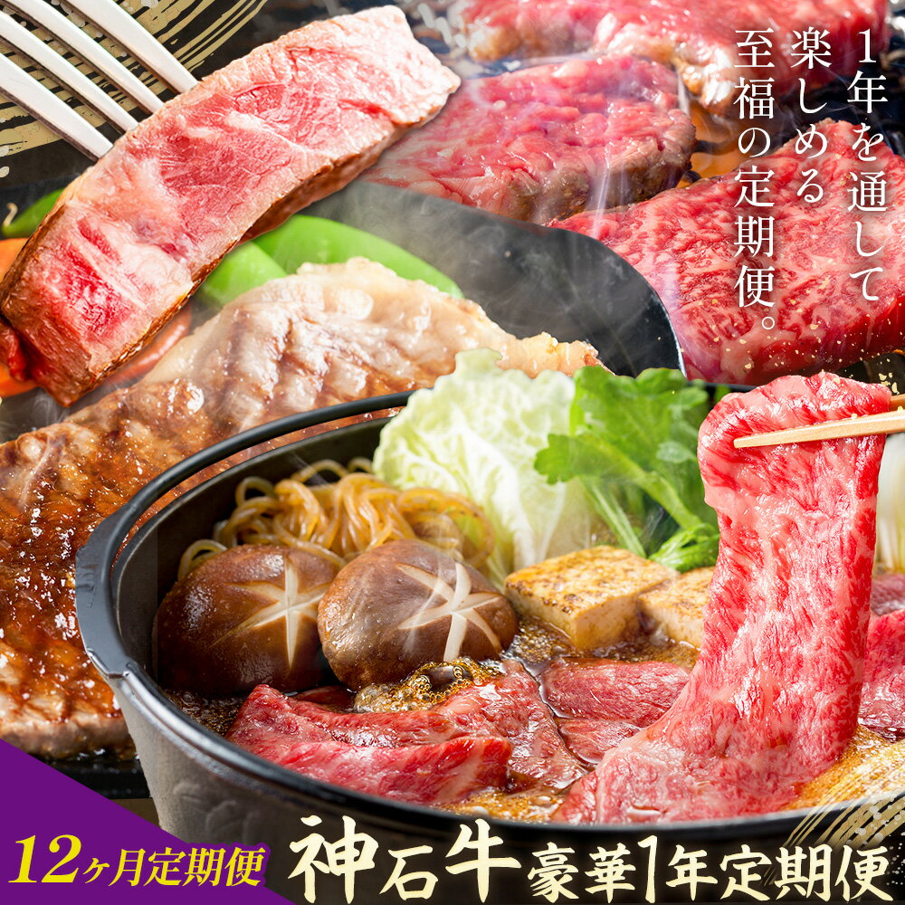 【ふるさと納税】【12ヶ月定期便】牛肉 豪華 定期 セット 1年 定期便 神石牛 JA全農ひろしま《30日以内に出荷予定(土日祝除く)》広島県 神石高原町 黒毛和牛 和牛 牛 牛肉 お取り寄せグルメ