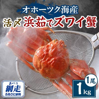 ふるさと納税 網走市 【2025年11月下旬発送】活〆浜茹でズワイ蟹 1尾(1kg前後) | 
