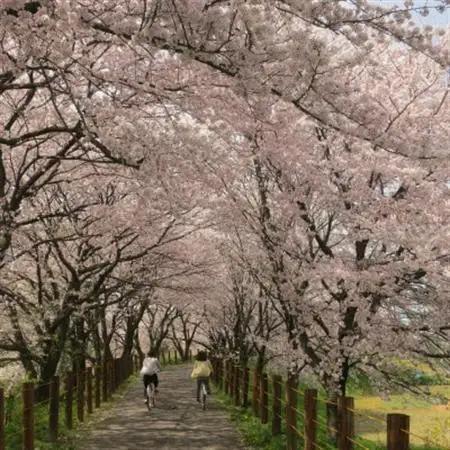 【返礼品なし】岐阜県輪之内町ふるさと応援寄附(一口:15,000円)