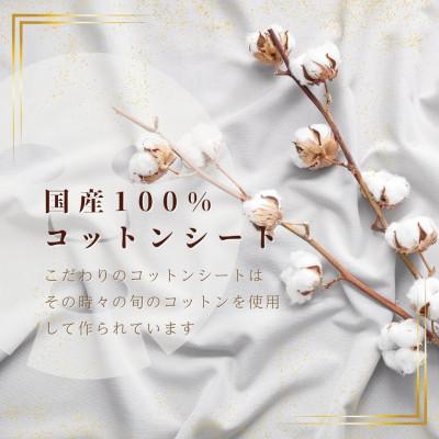 ふるさと納税 伊予市 フェイスパック　午後10時のシンデレラ　プレミアムハニー　100枚 |  | 03