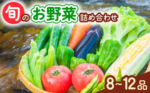 阿波の国海陽町 旬のお野菜詰め合わせセット 8～12品 野菜 徳島県 海陽町産 野菜セット 詰め合わせ 4-5名様以上 向け 季節の野菜 やさい 産地直送 新鮮 採れたて お試し 単品