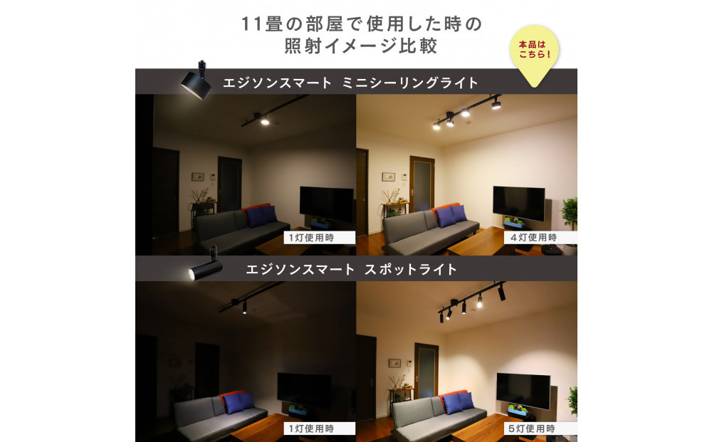 エジソンスマートミニシーリングライト 引掛けシーリング用 【ブラック】 福岡市