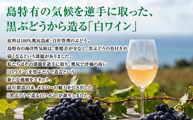「奥尻ワイン」 OKUSHIRI メルロー (白) 辛口 1本 750ml 奥尻ワイナリー | ワイン 白ワイン 生ワイン 日本ワイン ご当地ワイン ブラン・ド・ノワール フルーティ 果実味 産直 産地直送 お取り寄せ | 北海道 奥尻町 送料無料 OKS08-004