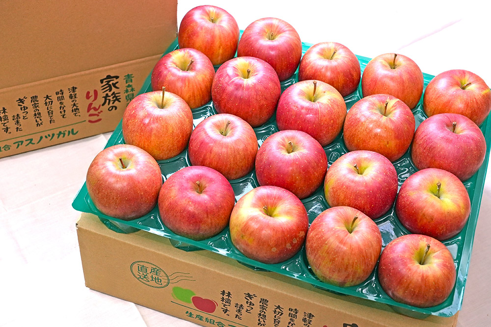 りんご 【先行受付】平均糖度13度以上！ シナノスイート 約5kg 訳あり