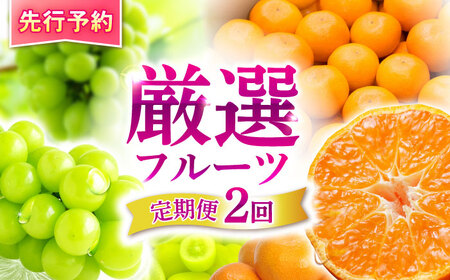 【2回定期便】※【2026年シーズン発送／先行予約】フルーツ定期便 シャインマスカット 約1.3kg(2房から3房) / 温州みかん(10kg) 家庭用 / フルーツ フルーツ定期便 果物定期便 シャインマスカット みかん / 諫早市 / 肥前グローカル株式会社[AHDI012]