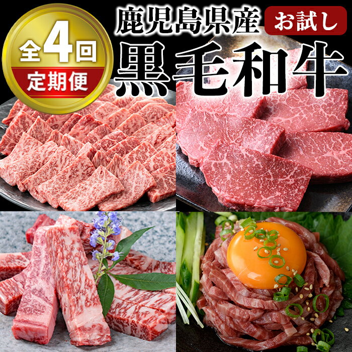 【ふるさと納税】＜定期便・全4回＞カミチク お試し黒毛和牛定期便 国産 鹿児島県産 黒毛和牛 ステーキ 焼肉 ユッケ 赤身 サーロイン ヘルシー 冷凍 牛肉 生 小分け 個包装 おためし 定期便【カミチク】