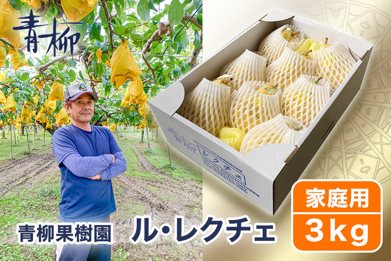 
                  【2026年先行予約】新潟特産 幻の洋梨ル・レクチェ 家庭用 3kg（7〜9玉）〈11月下旬～順次出荷〉 ルレクチェ ル・レクチエ ルレクチエ 西洋梨 新潟県 新潟産 果物 フルーツ 冬の味覚 産地直送加茂市 青柳果樹園
                