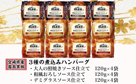 霧島黒豚 3種の煮込みハンバーグ 12個セット (デミグラスソース仕立て・和風おろしソース仕立て・大人の照焼きソース仕立て)_AA-2803
