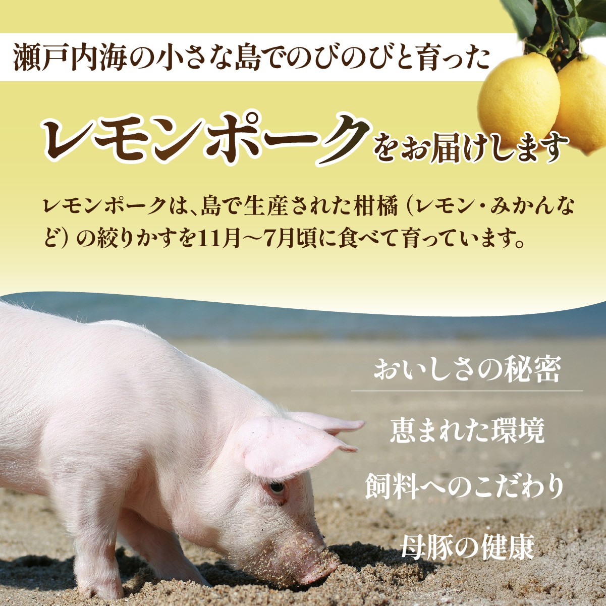 【配送エリア：北海道・沖縄】「青いレモンの島」育ちのレモンポーク スペアリブ 1.5kg 500g×3p 豚肉 スペアリブ レモンポーク 豚 豚肉 ポーク 冷凍保存 真空 真空パック 小分け おかず 
