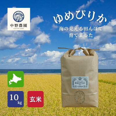 【ふるさと納税】ゆめぴりか 玄米10kg【2025年産】【1724143】
