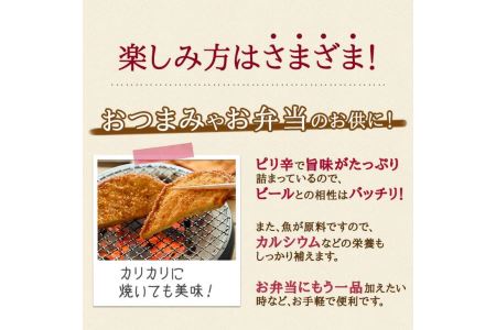 フィッシュカツ 詰め合わせ 2枚 × 9袋 18枚(揚げ物 大人気揚げ物 人気揚げ物 冷蔵揚げ物 おつまみ揚げ物 おやつ揚げ物 おかず揚げ物 揚げ物詰め合わせ 揚げ物セット ご当地揚げ物)