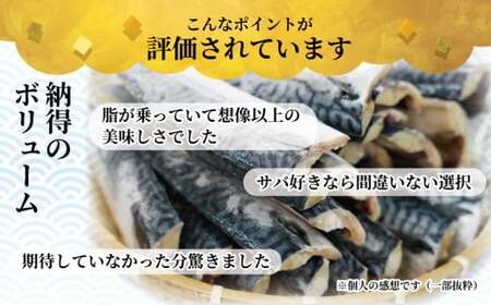 訳あり 塩さば フィーレ 約3kg 冷凍 おかず 惣菜 ｻﾊﾞ 鯖 海鮮 魚 大容量 鯖切身 鯖切り身 さば切身 さば切り身 切り身 切身 魚介 おつまみ 弁当 人気 不揃い 規格外 傷 冷凍食品 グ