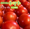 【ふるさと納税】喜界町産トマト3.5kg〜4.0kg　矢竹農園【2025年1月以降発送開始】