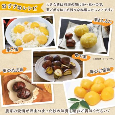 ふるさと納税 西予市 生栗 2Lサイズ(3kg)大きい 甘い 生栗 城川ファクトリー |  | 02