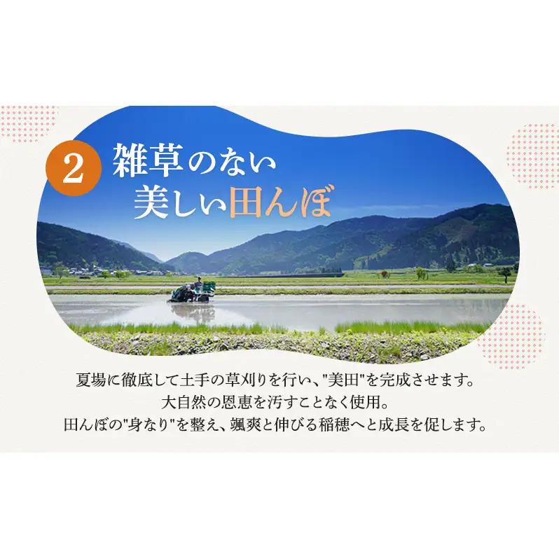 コシヒカリ 12月お届け 10kg コシヒカリ