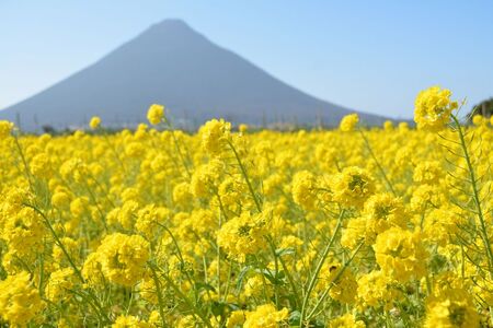 ジャンボタクシーで巡る 指宿3時間観光コース 鹿児島第一交通 IB052-002