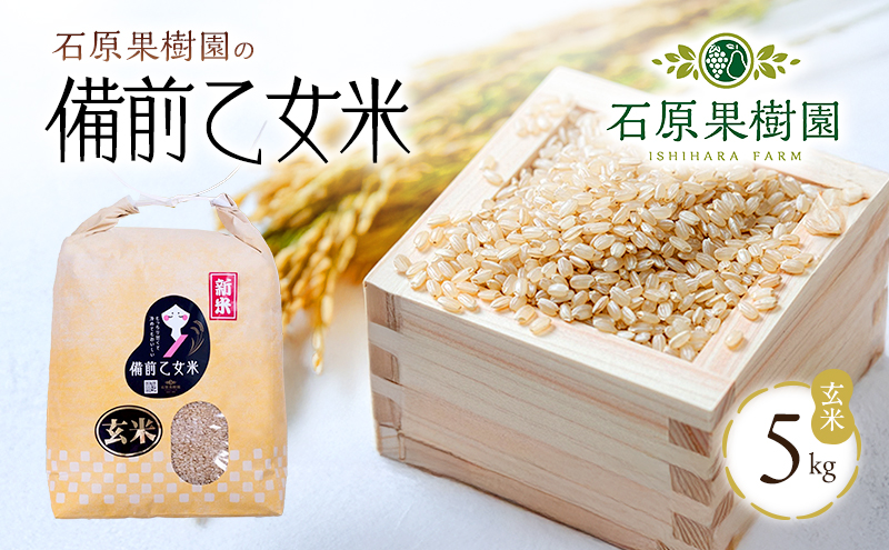 米 令和8年産 石原果樹園の備前乙女米 玄米 5kg×1袋 ※11月上旬～順次発送予定 お米 ライス  乳酸菌栽培 岡山県 おにぎり お弁当