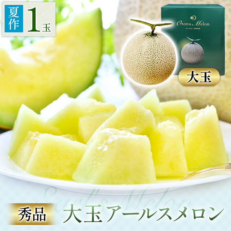 【ふるさと納税】 大玉アールスメロン 秀品 1玉 先行予約 果物 フルーツ メロン 夏作 季節限定 期間限定 特産品 贈答品 お取り寄せ ギフト グルメ