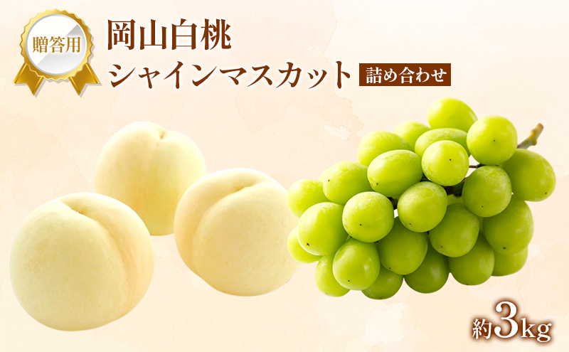 桃 ぶどう 2027年 先行受付 贈答用 白桃 シャインマスカット 詰め合わせ 約3kg フルーツ 果物 岡山 赤磐市