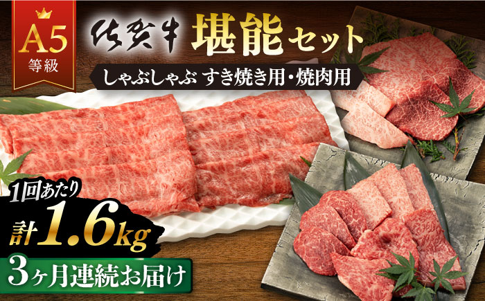 
【3回定期便】佐賀牛 A5 堪能セット (しゃぶしゃぶ すき焼き用 ・ 焼肉用) 計1.6kg(400g×4P) 【桑原畜産】 [NAB099]
