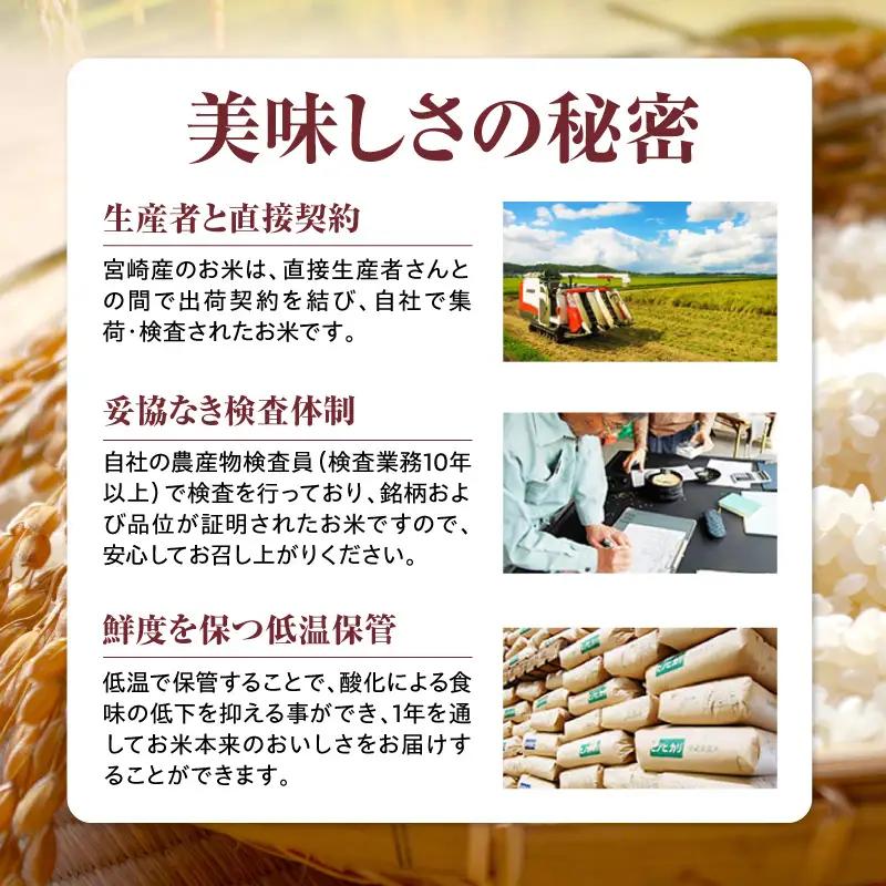米 コシヒカリ 宮崎県産 5kg 令和7年産 お米 コシヒカリ