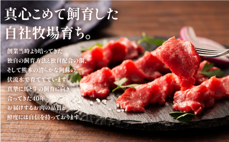 フジチクふじ馬刺し上赤身4個セット 合計約320g					
