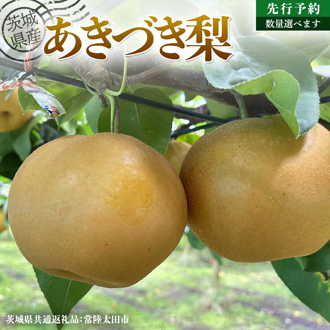 【ふるさと納税】【 先行予約 】茨城県産 梨 あきづき 選べる内容量 約 3kg ～約 5kg ( 茨城県共通返礼品 : 常陸太田市 ) 【 2025年 9月中旬頃より発送 】 フルーツ 果物 国産 日本産 梨 ナシ なし 和梨 秋月 期間限定 数量限定