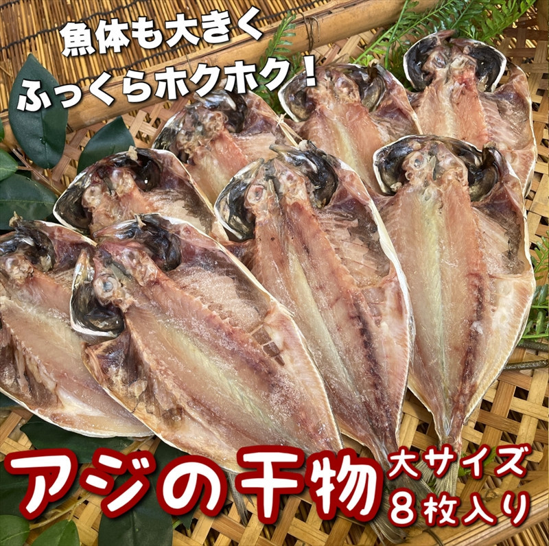 鯵の干物 大サイズ 8枚セット 142069_DQ125