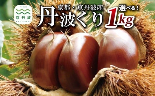 
                  丹波くり 1kg 選べる とれたて チルド熟成 3L 4L サイズ 京都 京丹波町産 大粒 生栗 和栗 国産 丹波栗  ※北海道・沖縄・その他離島は配送不可 [013TNX001LX]
                