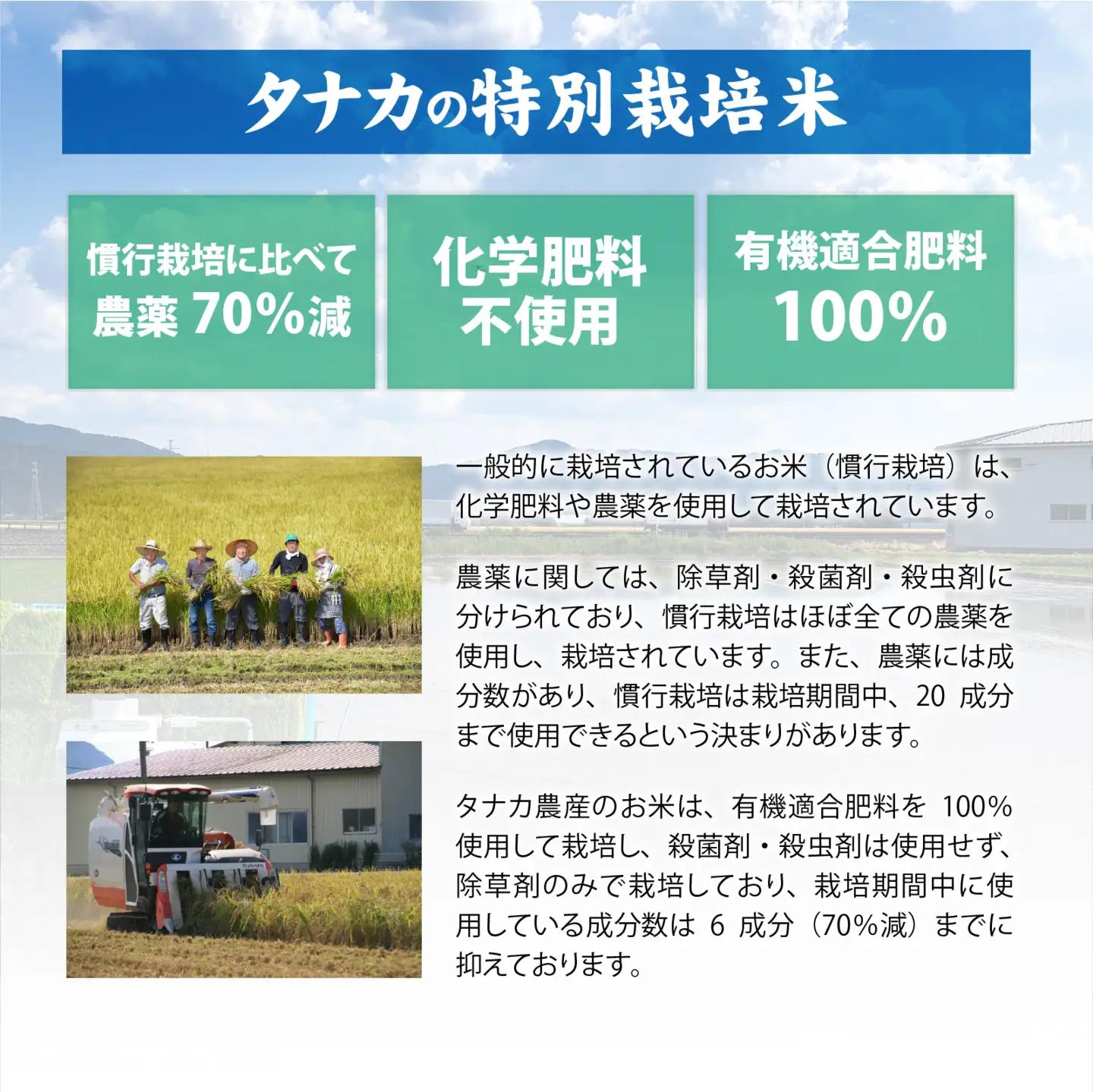 特別栽培タンチョウもち米使用 豆もち 合計18個 / 餅 餅 [A-020031]