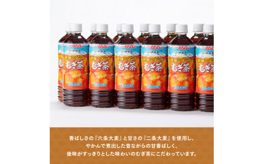 【6ヶ月定期便】 伊藤園 健康ミネラル むぎ茶 （ PET ） 650ml×48本 【 送料無料 カフェインゼロ 麦茶 ペットボトル カロリーゼロ  飲料 】[F7350-0t6]