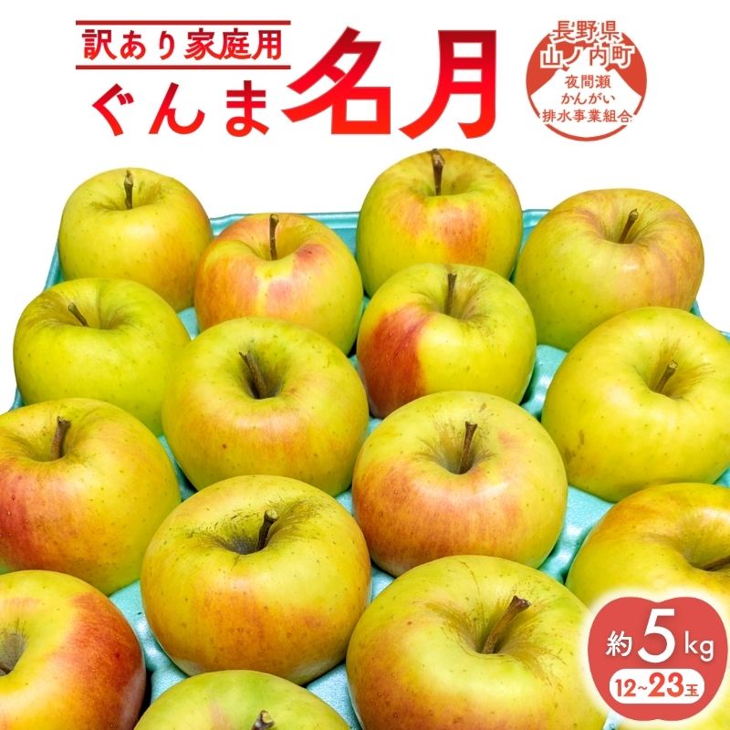 りんご 訳あり 家庭用 ぐんま名月 約 5kg (12～23玉) 黄色 不揃い 秋 2026年 11月発送