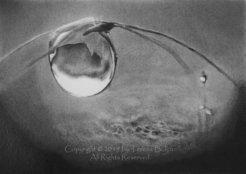 
                  鉛筆画 「Water Gems 8」 Bolen Teresa 数量限定 一点もの 原画作品 原画 アーティスト アート ART 芸術 芸術品 デザイン インテリア 絵画 おしゃれ 木津川市 京都府
                