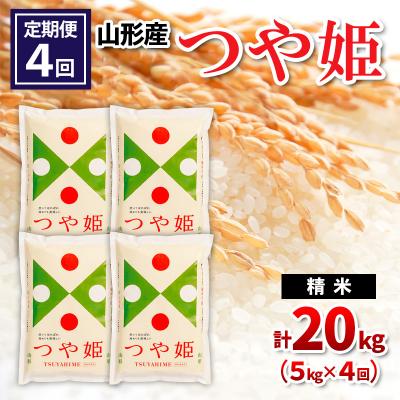 ふるさと納税 山形市 【定期便4回】山形県産 つや姫 精米 5kg×4回(計20kg) FZ26-841