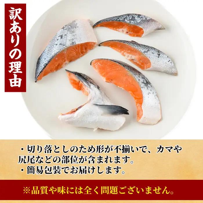 ＜訳あり＞ 甘塩 銀鮭切り落とし (500g) 小分け 魚 冷凍 【KI-19】【イチマル食品加工】