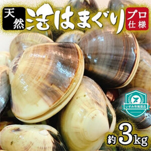 天然はまぐり約3kg (千葉県産)【配送不可地域：離島・沖縄県】【1306039】