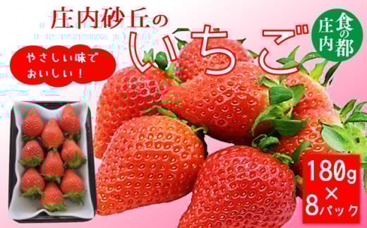 食の都庄内　庄内砂丘のいちご8パック※1月中旬頃～順次配送