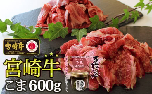 宮崎牛 小間切れ600g 万能だれ付き_Tk024-011