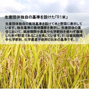 【栽培期間中化学肥料・化学農薬不使用】令和7年産R1米コシヒカリ5kg(精米)【1448692】
