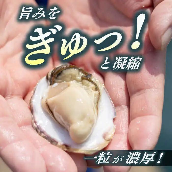 養殖カキ 約1.3kg [RCN001] 牡蠣 牡蠣 牡蠣 牡蠣 牡蠣 牡蠣九州 長崎 