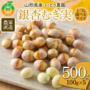 【ふるさと納税】《選べるサイズ》農家直送銀杏むき実 500g（100g×5）山形県産 ぎんなん 《いとう農園》 茶碗蒸し おつまみ 季節限定 簡単 F4A-0312var