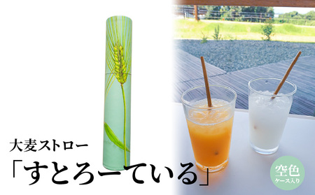 大麦ストロー「すとろーている」、ケース入り空色 天然素材 エコ ストロー 大麦 すとろーている 20本 ケース入り 選べる 栽培期間中農薬不使用 SDGs 土に還る 脱プラ 脱プラスチック インテリア おしゃれ 環境保全 人気 自然 CC-0002_3
