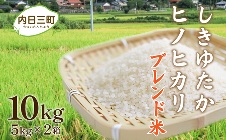 【令和7年産】 Wブレンド米 10kg 山口県産 米 下関 《内日三町：DZ》
