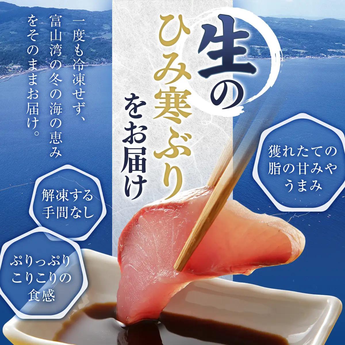  【先行予約】ひみ寒ぶり 8～10kg台物 半身【角安商店】※配送エリア限定※　
