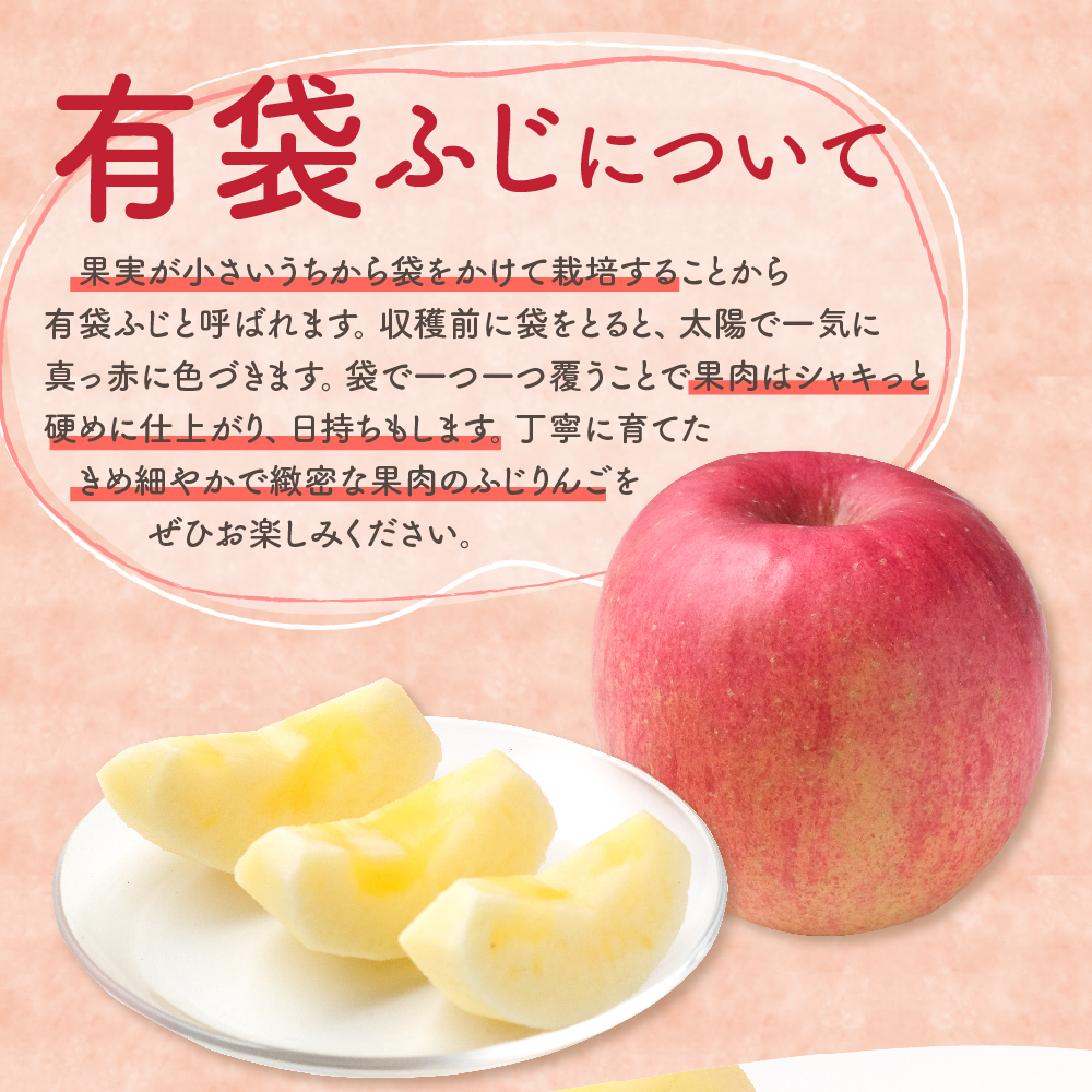 【2026年6月上旬発送】≪特選≫ りんご 5kg 有袋ふじ (スマートフレッシュ™貯蔵またはCA貯蔵・クール便)